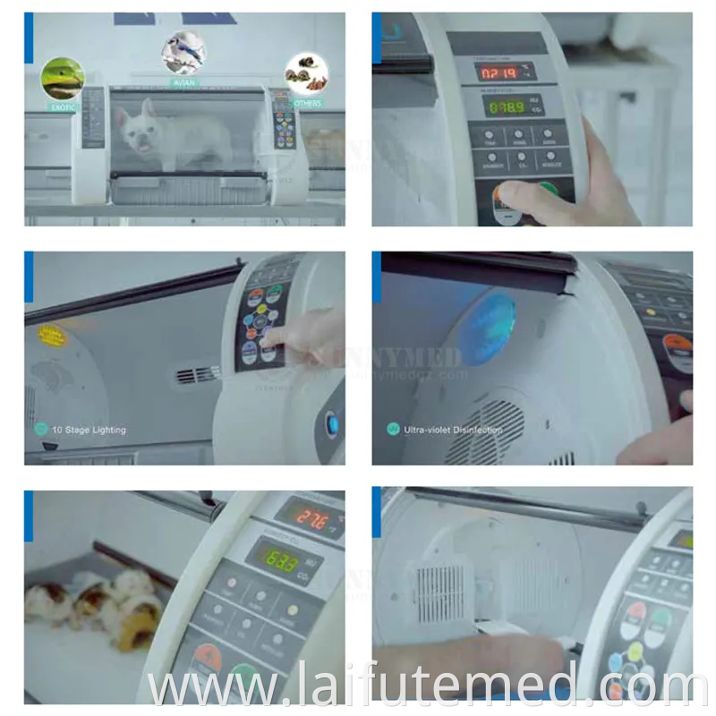 Sy-Wuc-1803 Portable Pet Clinic ICU Oxygen Pet Incubator